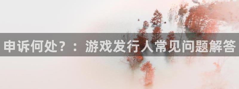 亿万28智邦：申诉何处？：游戏发行人常见问题解答