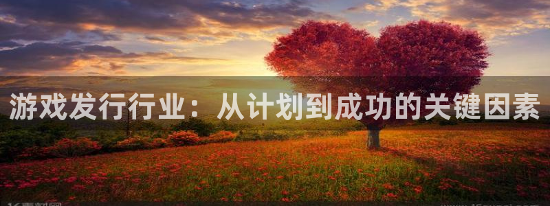 亿万28官网登录注册：游戏发行行业：从计划到成功的关键因素