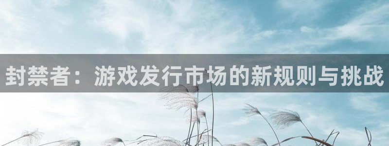 东莞亿万28信息科技有限公司：封禁者：游戏发行市场的新规则与挑战