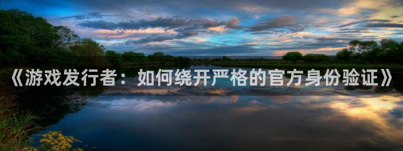 亿万28工坊：《游戏发行者：如何绕开严格的官方身份验证》