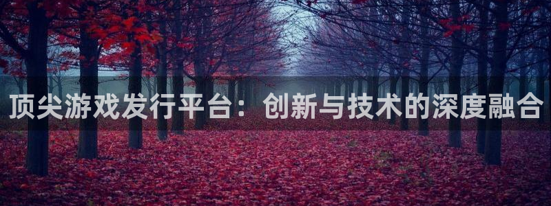 亿万28官网跑路了吗：顶尖游戏发行平台：创新与技术的深度融合