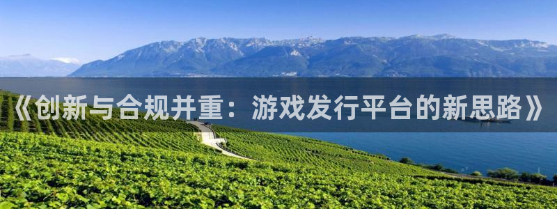 亿万28官网代理注册：《创新与合规并重：游戏发行平台的新思路》