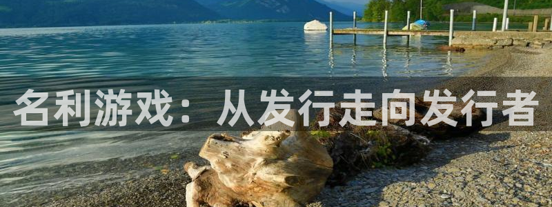 亿万28涂料怎么样：名利游戏：从发行走向发行者