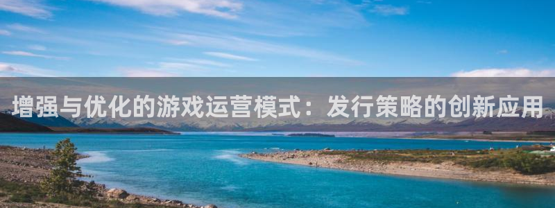 亿万28官网注册方法：增强与优化的游戏运营模式：发行策略的创新应用