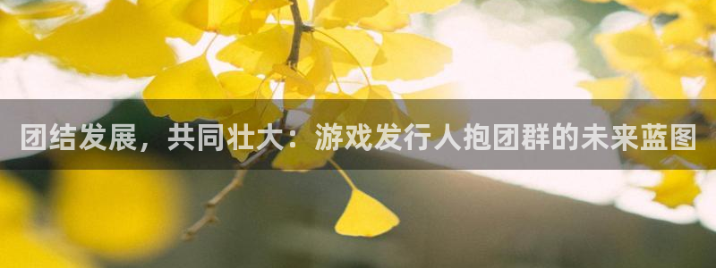 亿万28防水的质量怎么样：团结发展，共同壮大：游戏发行人抱团群的未来蓝图