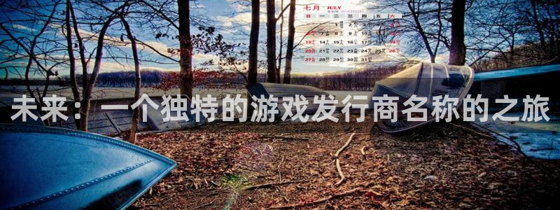 亿万28是什么：未来：一个独特的游戏发行商名称的之旅
