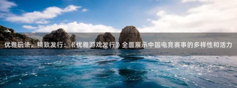 亿万28电子商务怎么样：优雅玩法，精致发行：《优雅游戏发行》全面展示中国电竞赛事的多样性和活力